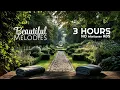 Massage Therapy Background Music Relaxation for Body Mind Calm Spa Atmosphere