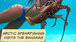 Part 1/2: Arctic Spearos visit the Bahamas for the first time!