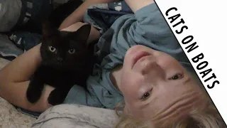 CATS ON BOATS do you take your cat sailing, if so we would love to know