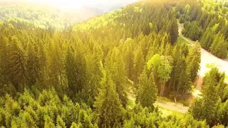 مهجي بعيني   احبني مات عني   دندنها