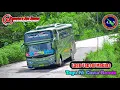 Download Lagu Lagu Tapsel Terpopuler || Togu Ni Cinta Remix Versi Bus ALS
