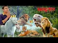 Download Lagu शौर्य अपना प्यार पाने के लिए भिड़ पड़ा जंगली शेर से || Baalveer Returns