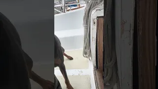 #fyp #vlog #sailing #dream #doberman #pets