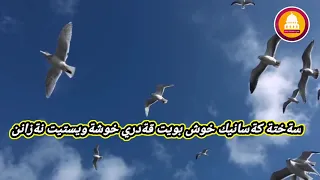 حالات واتس اب شيخ محمود خليل الحصري تريح النفس 