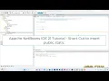 Apache NetBeans IDE 21 Tutorial - Short Cut to insert public static