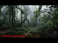 Download Lagu Mitthi bungrua rutu chunga thilthleng mak leh a dangte ( Thlahrang Lawrkhawm 171 )