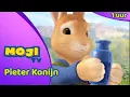 Download Lagu DE GROTE PIETER KONIJN COMPILATIE 🐰 | DEEL 67 ✨ | Nederlandse Kinderseries | MojiTV