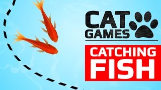 cat games catching fish entertainment videos for cats to watch 