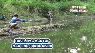 Gak nyangka !! Spot ini Juga banyak udang Galah nya