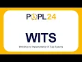 WITS 24 Implementing separation logic using an SMT-backed Frame Rule