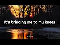 Def Leppard - Love Bites (Lyrics)