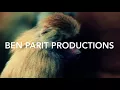 SOHN = SIGNALS + RENNEN 2017