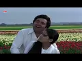 Bhanware Ne Khilaya Phool Video Song 4K | Prem Rog | Suresh Wadkar, Lata Mangeshkar | Rishi Kapoor