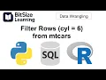 Data Wrangling Tutorial Filter Rows cyl 6 in Python SQL and R BitSize Data Wrangling