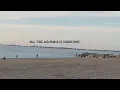 Hamburg Beach