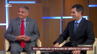 Regulamentação do Mercado de Créditos de Carbono vai ajudar a reduzir emissões de CO2