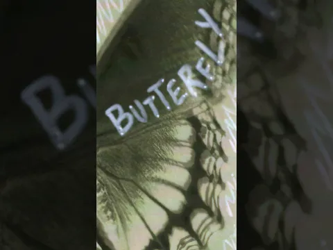 Blue Brush-Footed Butterfly might be our favorite off of Mad Dog... tell us yours!