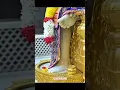 Lagu Shirdi Sai Baba Short | Sai Darshan | Sai Baba Status Day 12 | #shorts #short