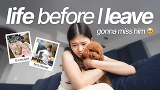 getting my life together before I leave✈️ | cooking, sleepover & packing