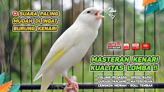 Masteran Kenari PAUD & Pancingan Kenari MACET BUNYI‼️ Terapi AMPUH Bikin Kenari GACOR (Episode 119)