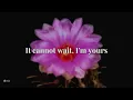 Jason Mraz - I’m Yours | Lyrics