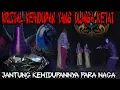 Download Lagu PENJAGA KRISTAL NAGA-GERBANG BERLAPIS MENUJU JANTUNG KEHIDUPANNYA PARA NAGA
