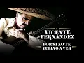 Vicente Fernández - Por Si No Te Vuelvo a Ver (Letra/Lyrics)