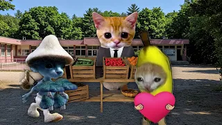 Banana Cat & Friends 🍌 Episodes Compilation 🐱