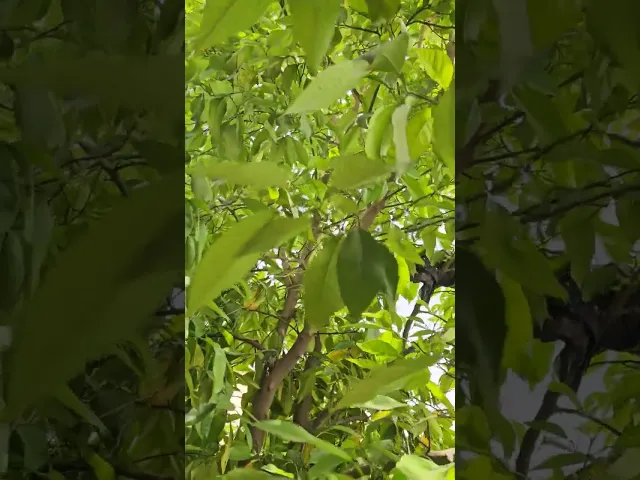 ⁣عن أي أحد نأخذ الحديث؟