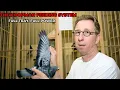 Gerard Koopman s Pigeon Feeding Philosophy