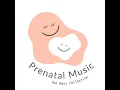 I Won't Say (I'm in Love) : Prenatal Music [Cover] [Disney movie "Hercules"]