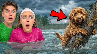 MY DOG is LOST in a MASSIVE FLOOD!