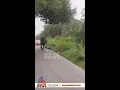 ആനകൾ പിന്മാറിയത് പേടിച്ചോ? യുവാവിന്റെ അത്ഭുത രക്ഷപ്പെടലിന്റെ ദൃശ്യം