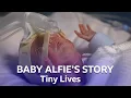 Download Lagu Premature Baby Alfie Arrives Three Months Early  | Tiny Lives Series 2 | BBC Scotland