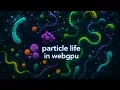 Creating Particle Life from Scratch WebGPU