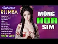 Download Lagu MỘNG HOA SIM , TỪNG CHO NHAU - LK Nhạc Trẻ Rumba 8x 9x Hót TikTok - ALBUM RUMBA XUẤT SẮC NHẤT