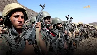 أرواحنا    دماؤنا    تفديك يا يمن دندنها
