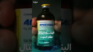                                                                     دندنها