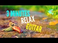 Download Lagu Relaxing Music - Guitar Short