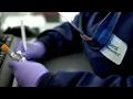 Florida fires Quest Diagnostics after 75 000 COVID-19 test results dumped at once