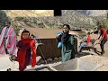 Download Lagu Hard Life in the Mountains | A Grandmother’s Sacrifice and Children’s Struggle for Survival 🌄❤️