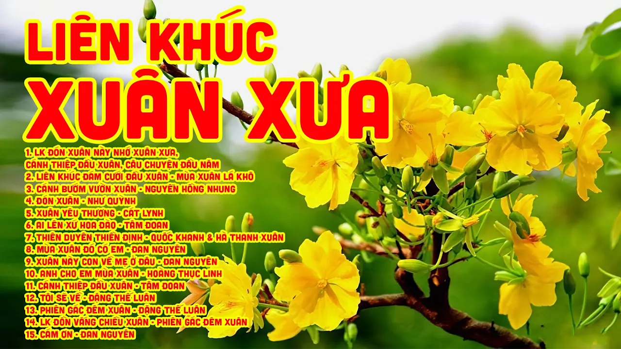 Liên Khúc Nhạc Xuân Hải Ngoại ĐÓN XUÂN NÀY NHỚ XUÂN XƯA - Nhạc Tết Xưa Hải Ngoại