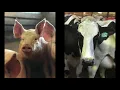 Meet Farmers from Arena Wisconsin