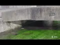 【Town of Springs】Ripples in Emerald　Soothing Moments: BGM & BGV