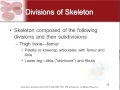 Chapter 7 - Skeletal System