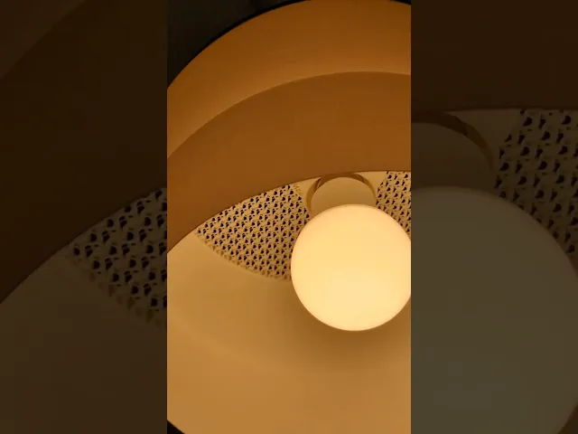 Gyroid Pendant Lamp video thumbnail
