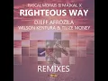 Righteous Way (Djeff Afrozila Main Instrumental)