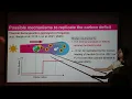 Tamami Okamoto SJTU Carbon cycle in a protoplanetary disk
