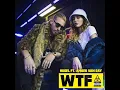 WTF (feat. Amber Van Day) - HUGEL