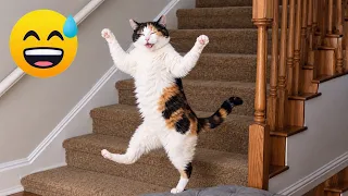 Impossible Not to Laugh ๐คฃ๐น Funniest Cat Clips 2026
